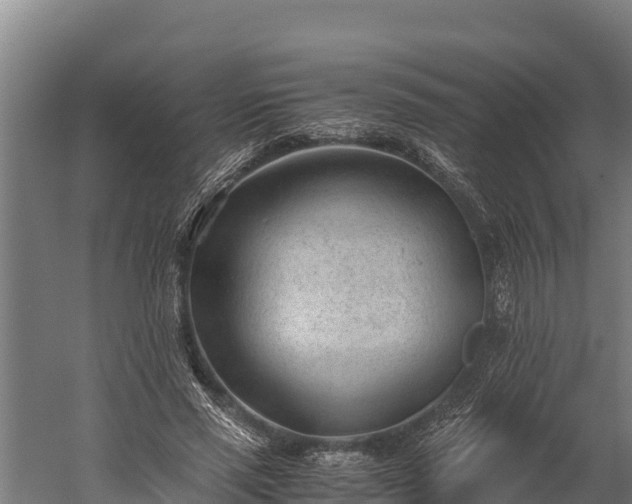 X0000060230637200511041231