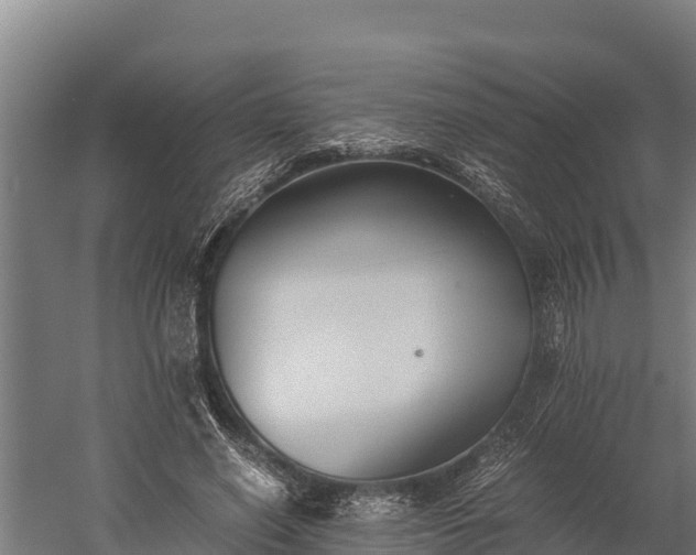 X0000060230638200511041231