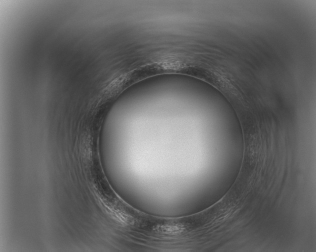 X0000060230639200511041232