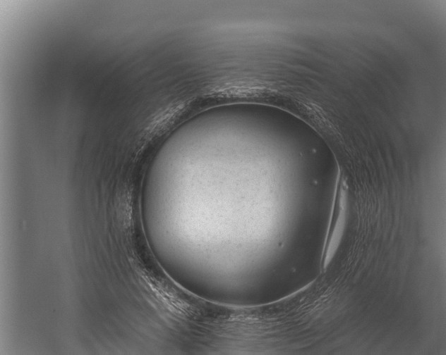 X0000060230640200511041232