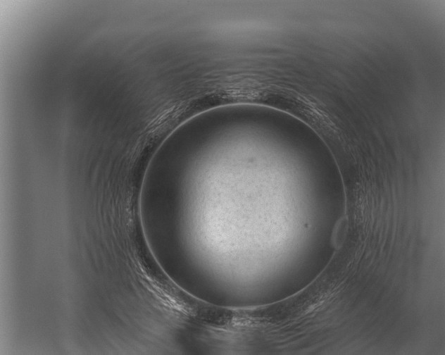 X0000060230641200511041232