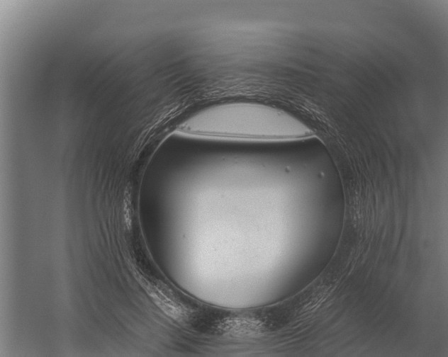 X0000060230644200511041232