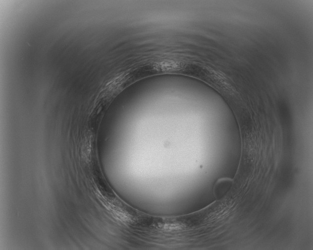 X0000060230645200511041232