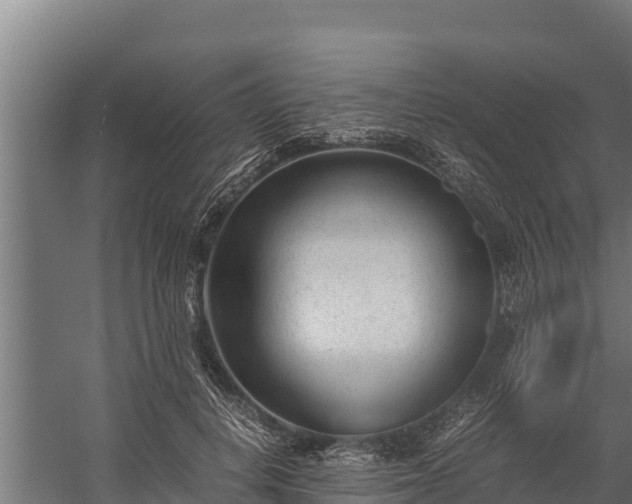 X0000060230648200511041232