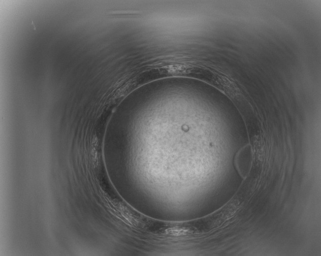 X0000060230650200511041232