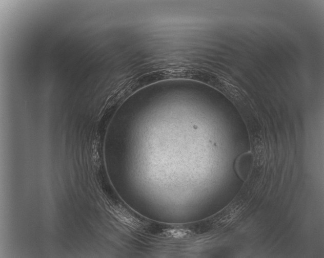 X0000060230654200511041232