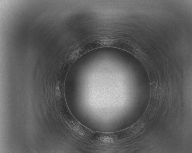 X0000060230655200511041232