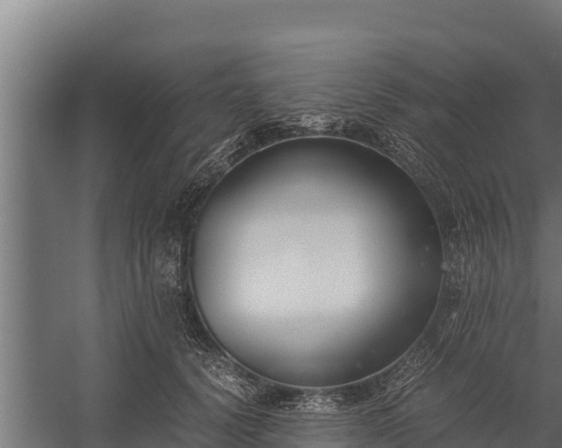 X0000060230656200511041232