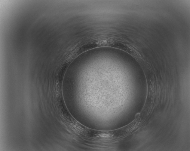 X0000060230659200511041232