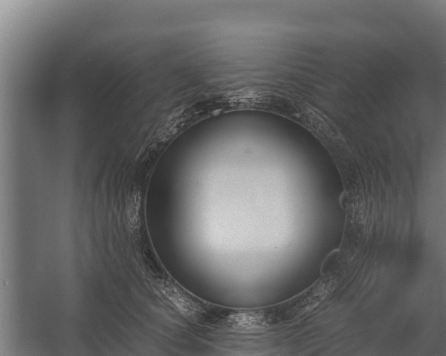 X0000060230660200511041232