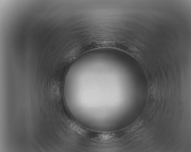 X0000060230662200511041232