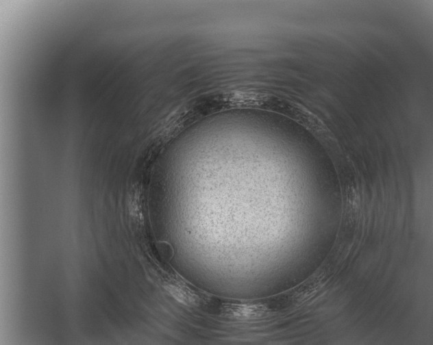 X0000060230663200511041232