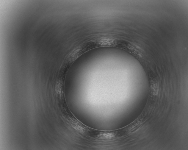 X0000060230665200511041232