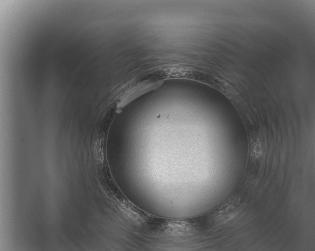 X0000060230666200511041232