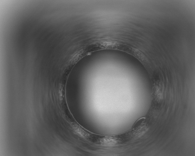 X0000060230668200511041232