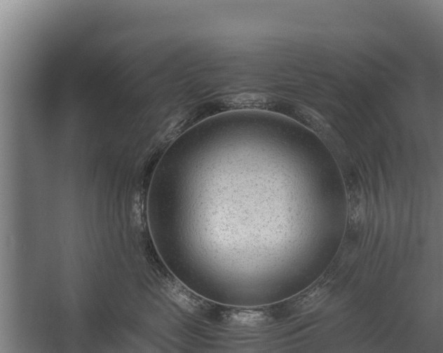 X0000060230669200511041232