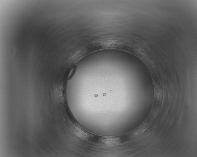 X0000060230670200511041232