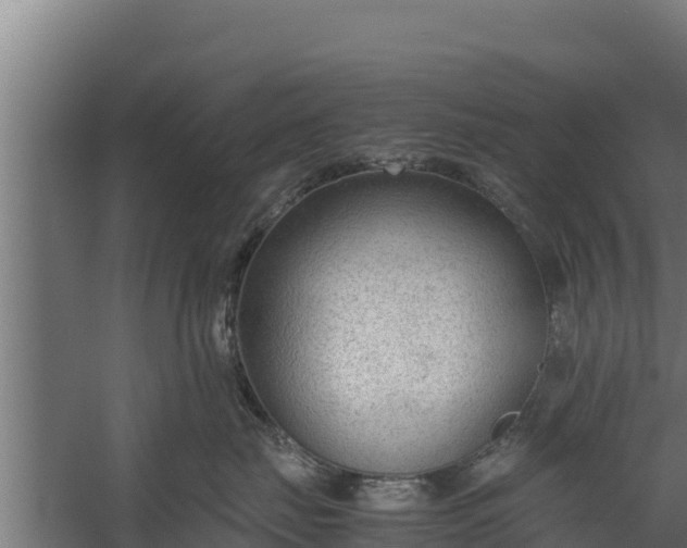 X0000060230671200511041232