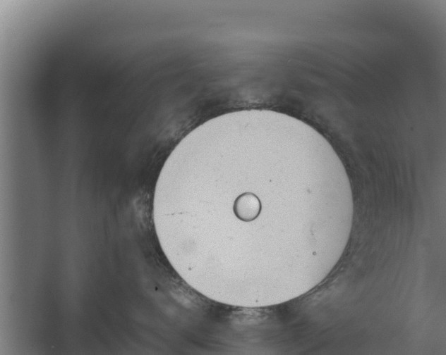 X0000060230672200511041232