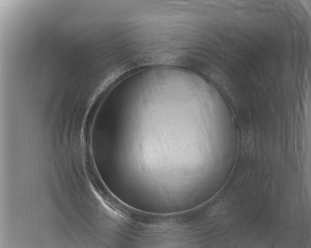 X0000060230674200511041231