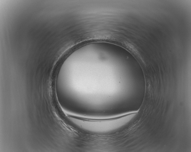 X0000060230676200511041231