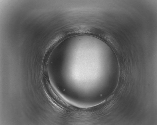 X0000060230677200511041231