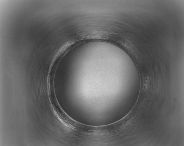 X0000060230678200511041231