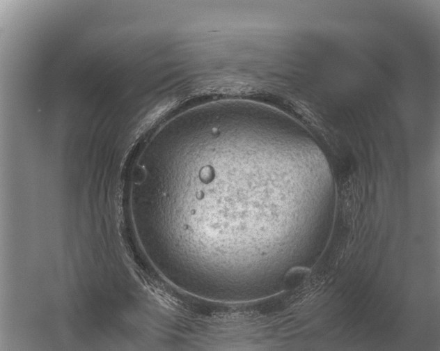 X0000060230679200511041231