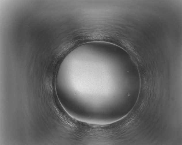 X0000060230681200511041231