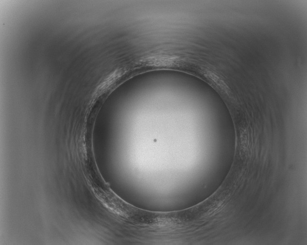 X0000060230682200511041231