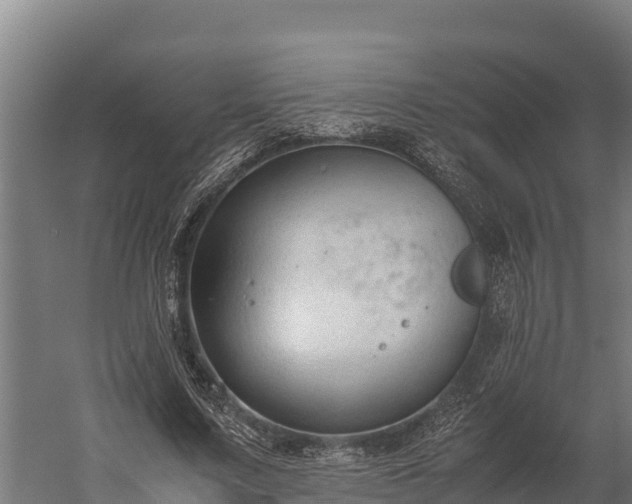 X0000060230683200511041231