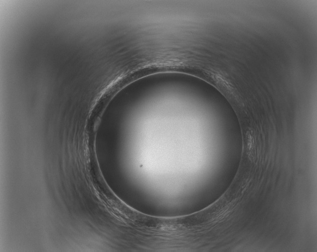 X0000060230684200511041231