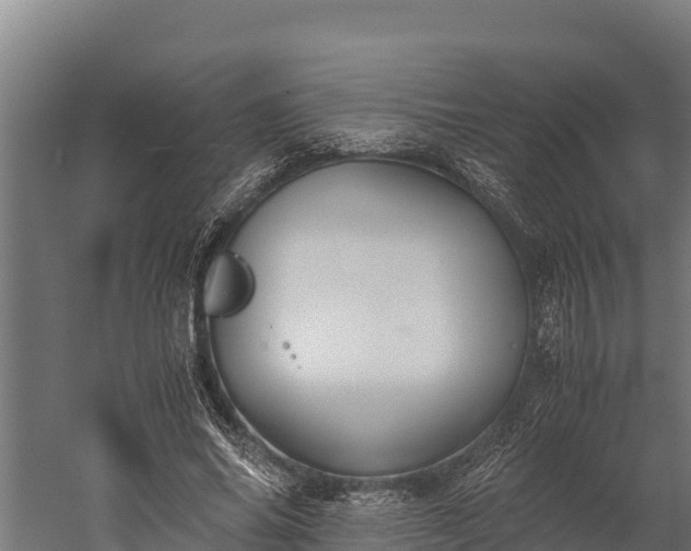 X0000060230686200511041231