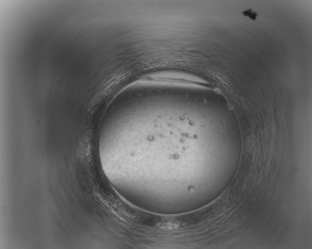 X0000060230687200511041231