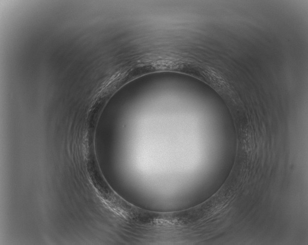 X0000060230690200511041231