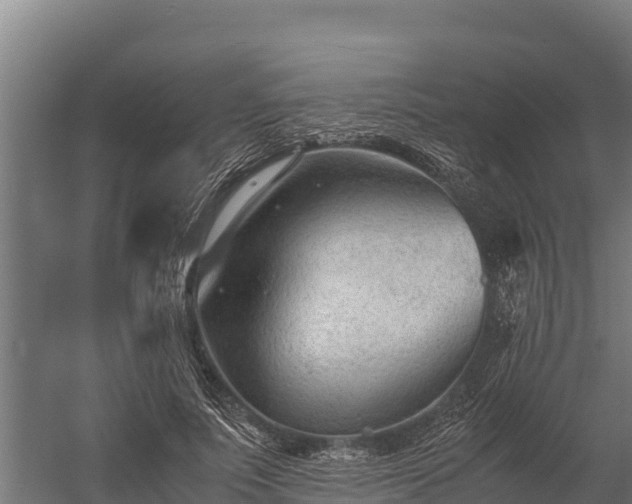 X0000060230691200511041231