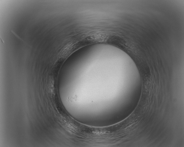 X0000060230693200511041231