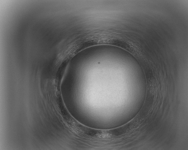 X0000060230695200511041231