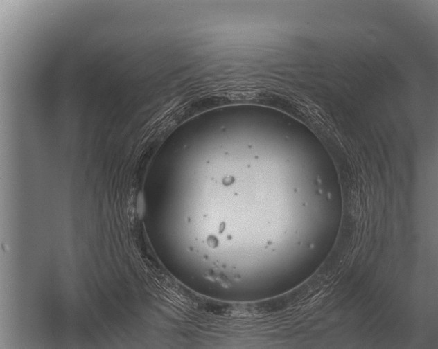 X0000060230697200511041231