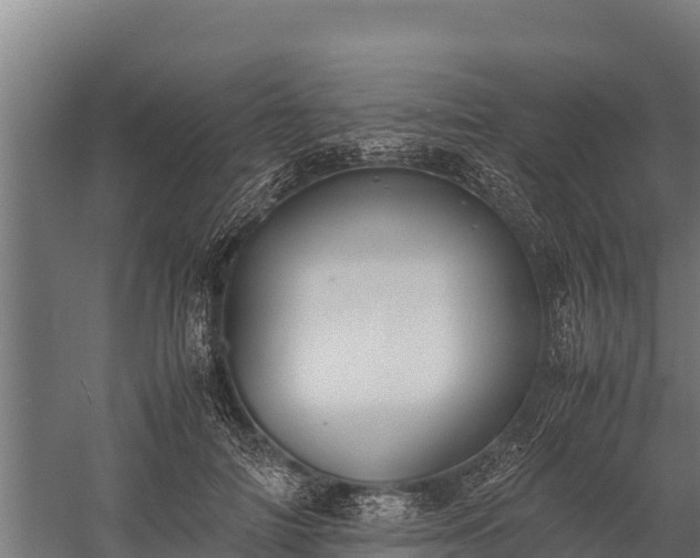 X0000060230698200511041231