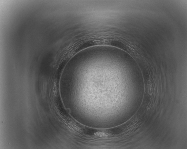 X0000060230699200511041231