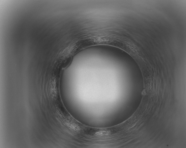 X0000060230700200511041231