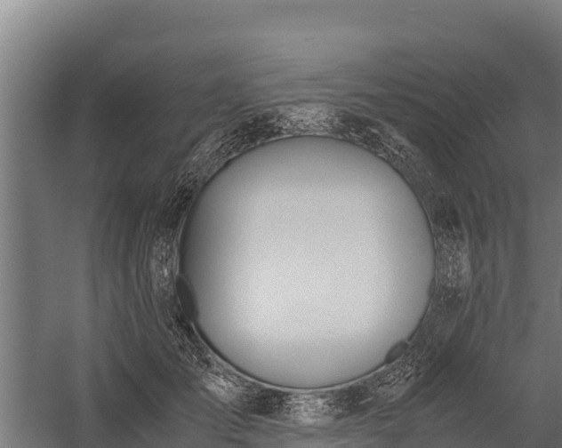 X0000060230701200511041231