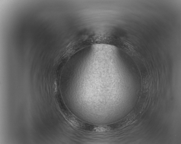 X0000060230703200511041231