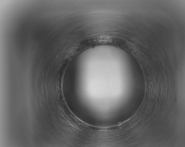 X0000060230704200511041231