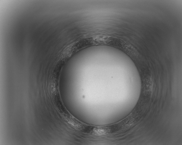 X0000060230706200511041231