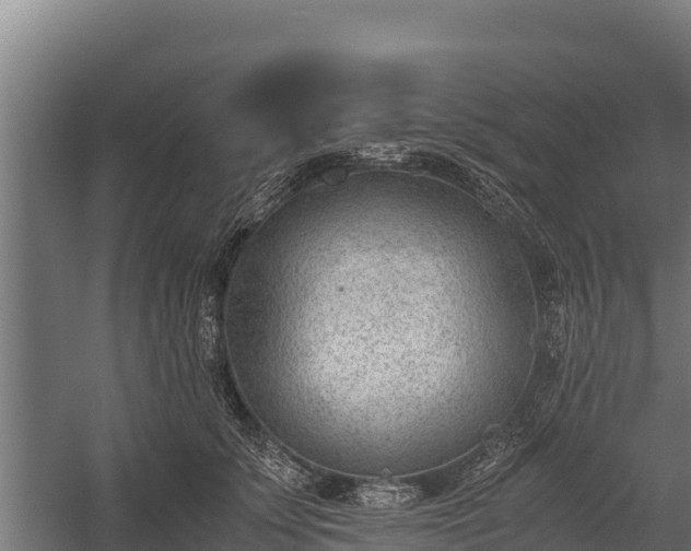 X0000060230707200511041231