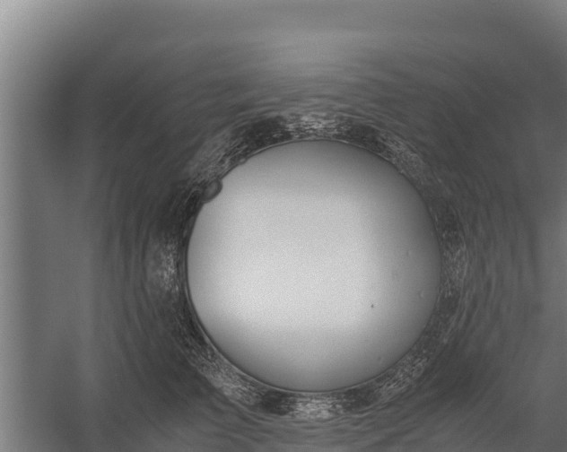 X0000060230709200511041231