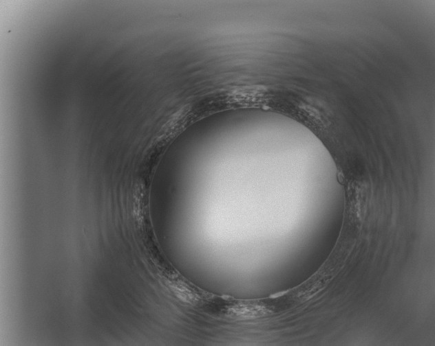 X0000060230712200511041231