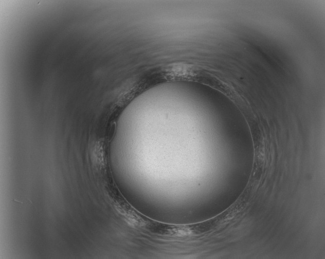 X0000060230715200511041231